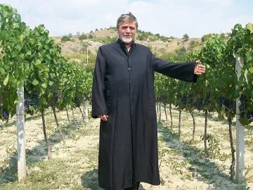 Дъждът отложи прибирането на мерлото и кабернето