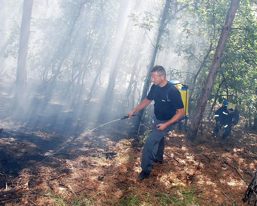 Огнена стигия изпепели вили и дворове в Хасковско