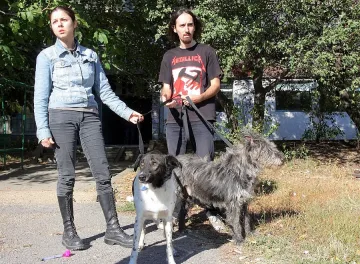 Полицаи разбиха дом, арестуваха кучета