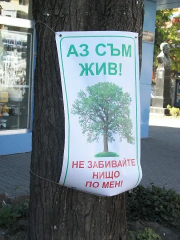 Фейсбук група защитава зеленото богатство в Стара Загора