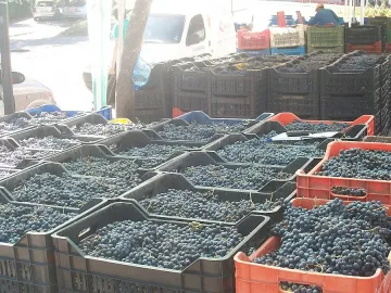 Търговци от Хасково мамели, че продават грозде от Сандански