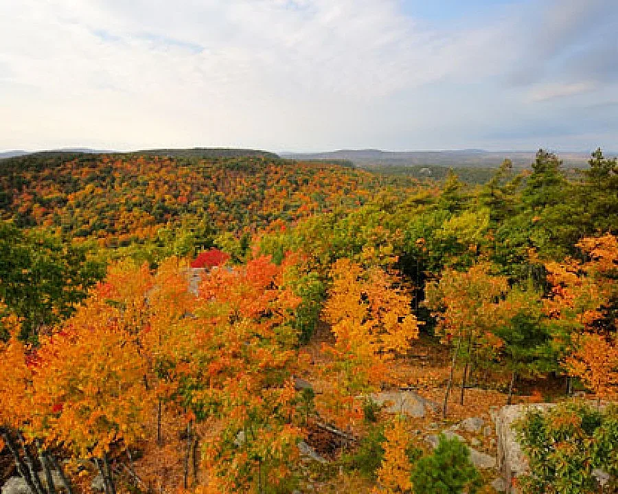 Утре ще е предимно слънчево