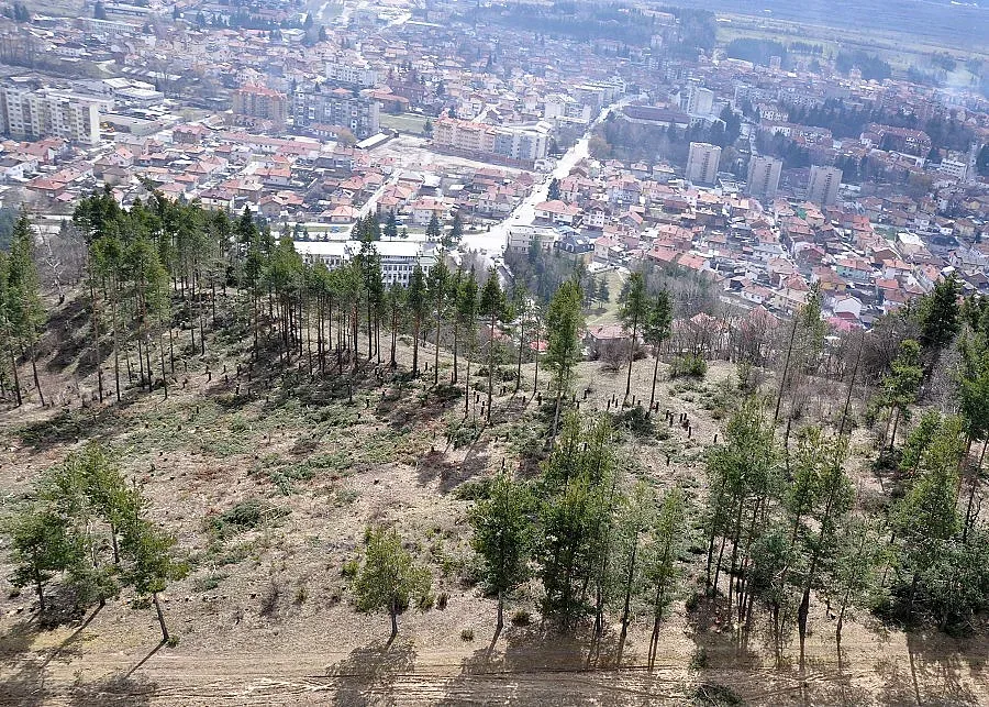 Наливат 21 млн. лв. за развитие на селските райони