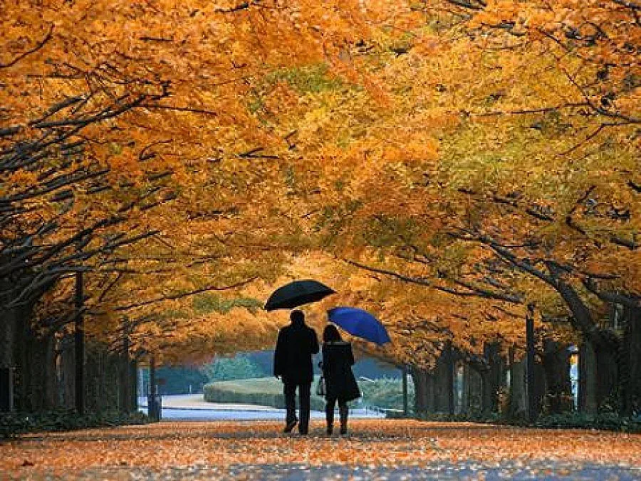 Дъждовно с температури между 25° и 30° ще бъде утре