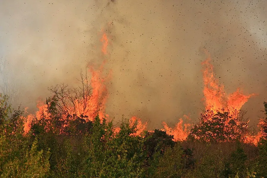 Непрекъснат огън подлуди пожарникарите в Монтана