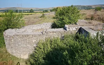 Бурени и джанки превзеха Аугуста