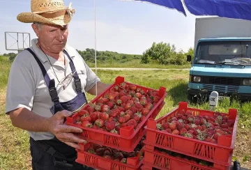 Край на бригадите на Острова
