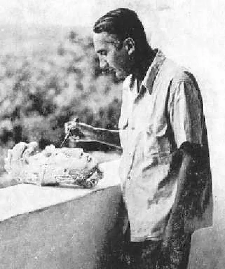 Луилие открива нефритения Пакал