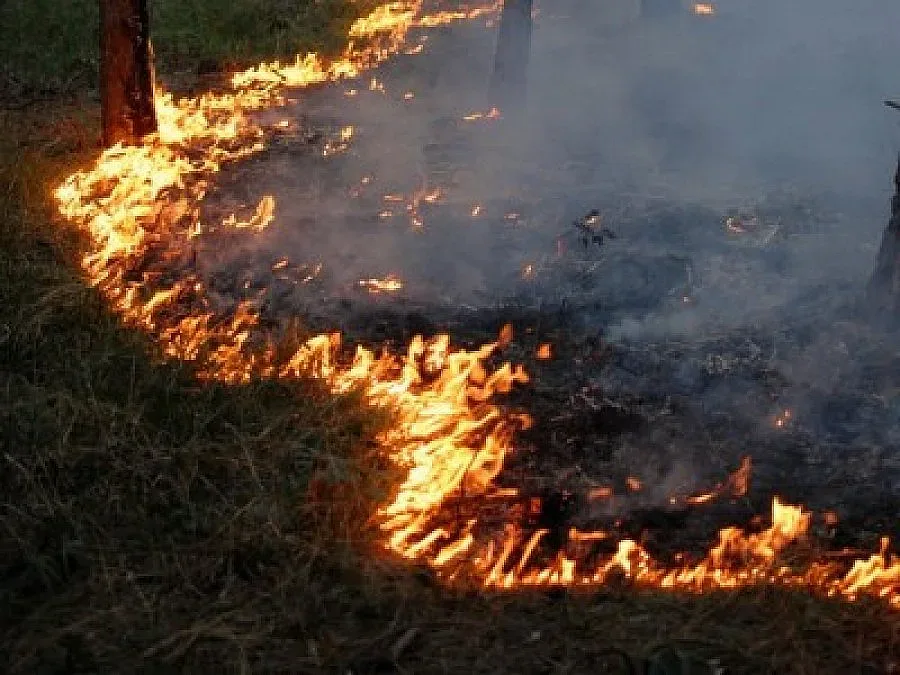 Пожар изпепели две къщи и барака