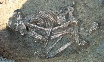 Крумчо от Неолита убит в гръб