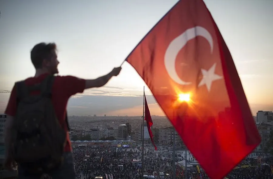 Гюлер: Загиналият демонстрант в Хатай е паднал сам