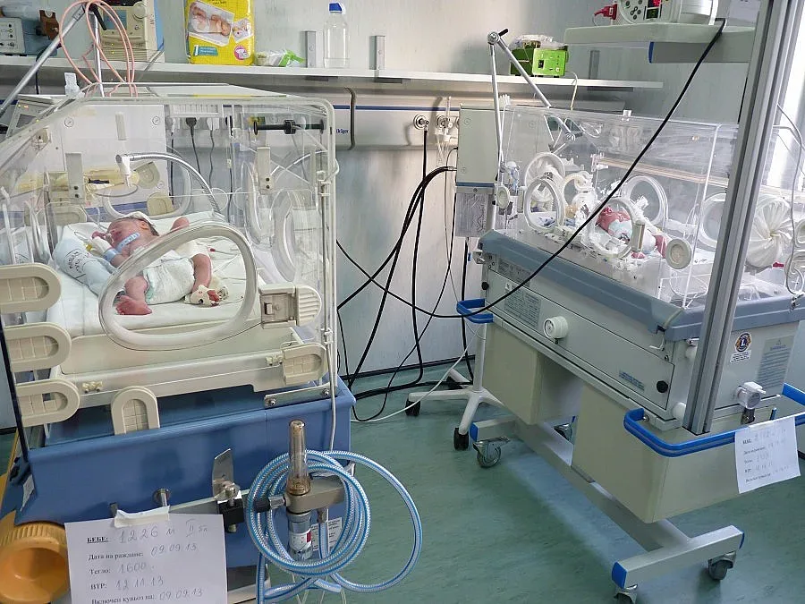 Русенка роди четиризнаци