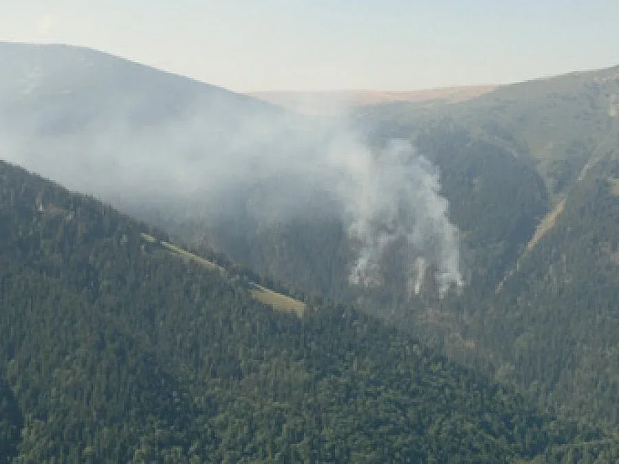 Пожар гори в парк "Рила"