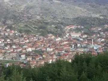 Избраха дама за временен кмет на село Брезница