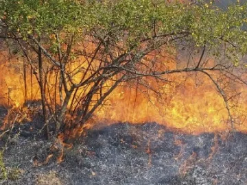 Локализираха пожара край Панагюрище