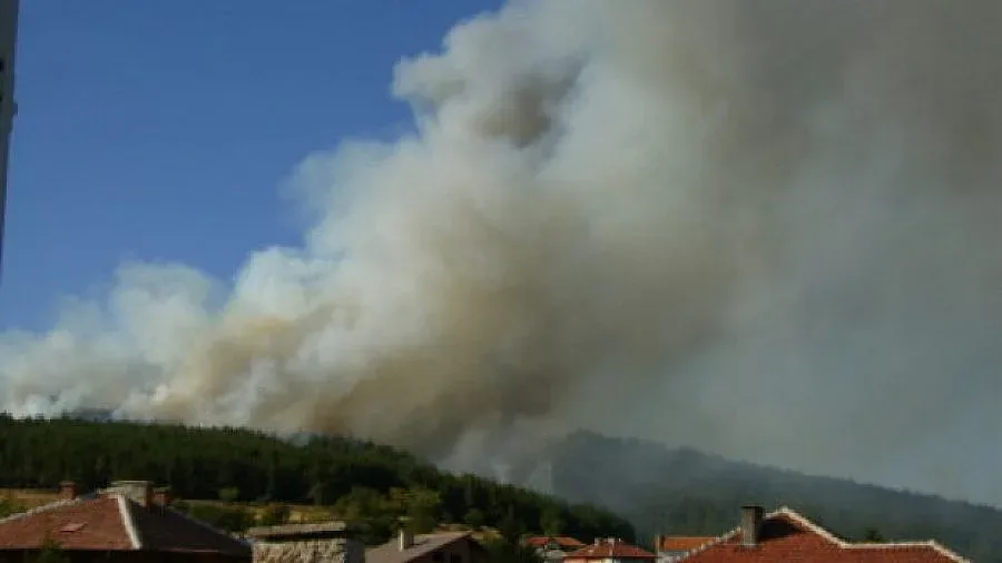 Горски пожар край Панагюрище