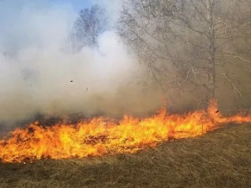 Овладяха пожара край Симитли