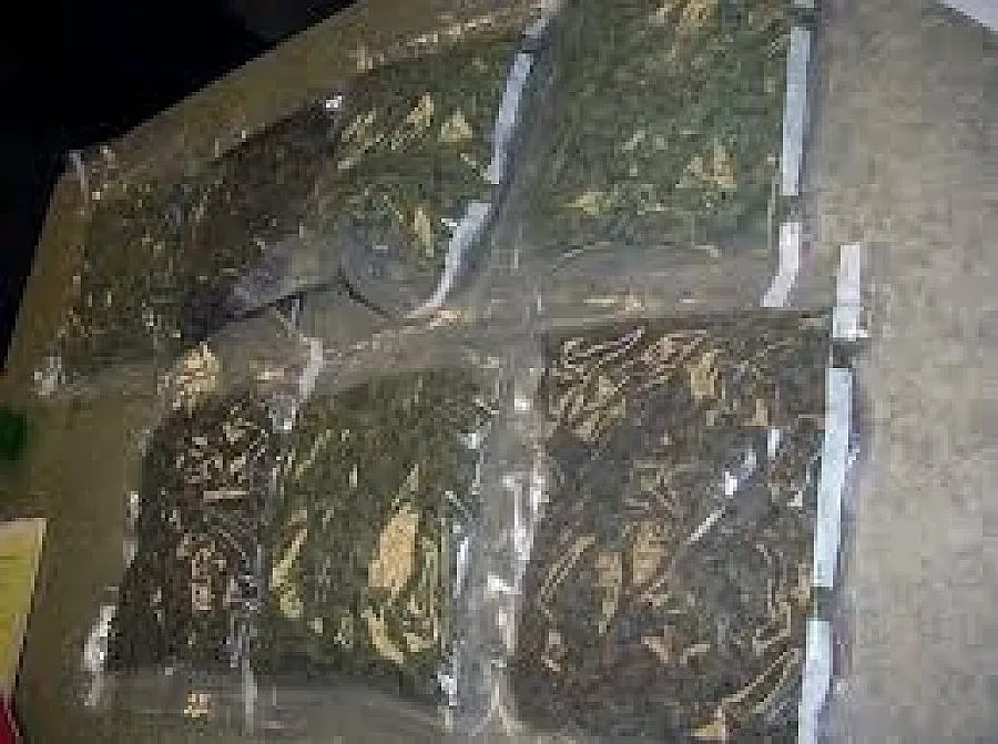 Сръбските митничари хванаха българин със 100 кг марихуана