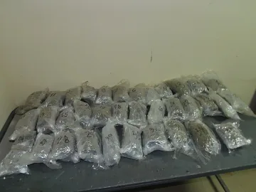 Полицаи спипаха 114 кг канабис за ден в Пиринско