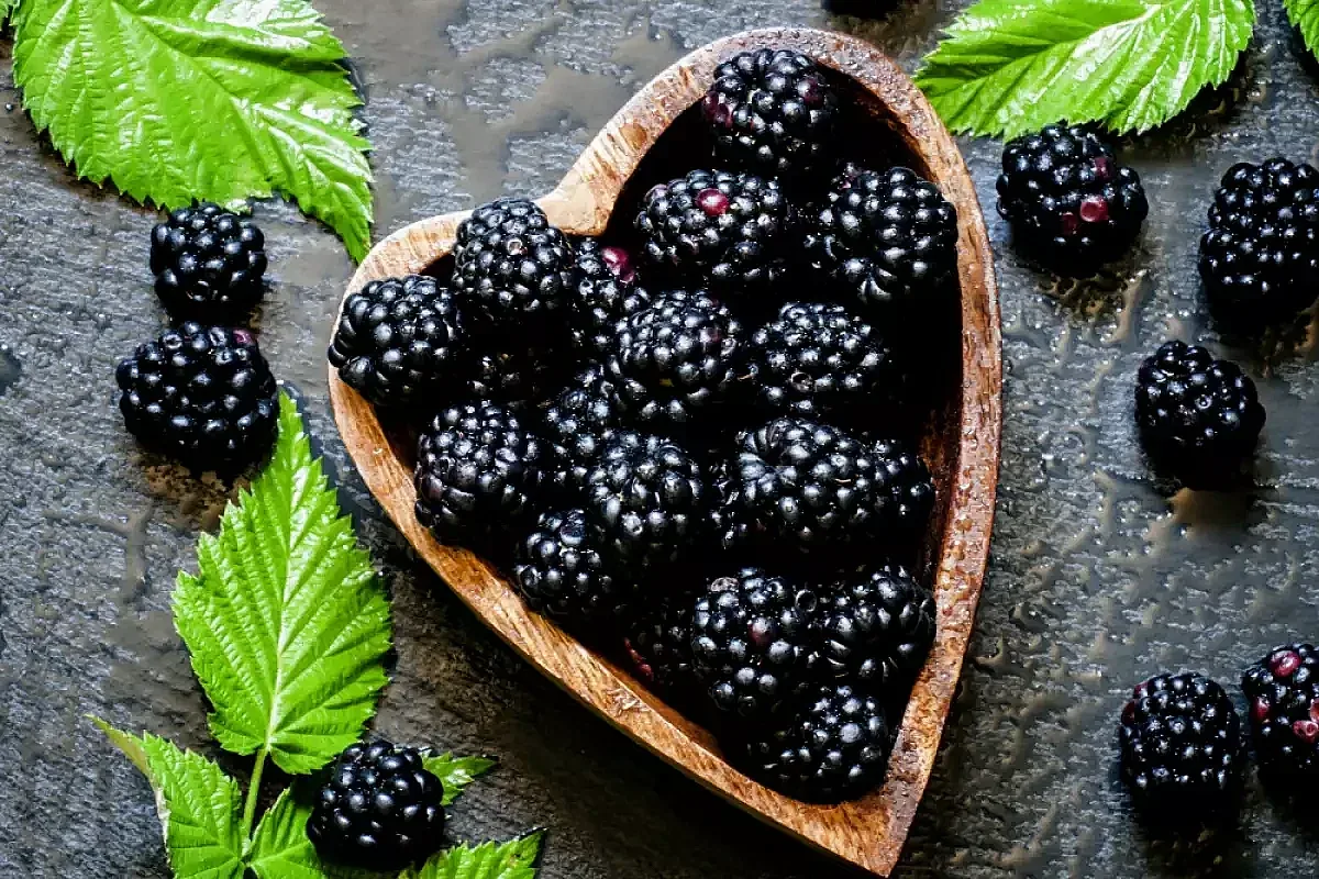 Падна тайната, какви са свойствата на къпините