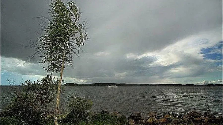 Времето утре: Жълт код за вятър и застудяване