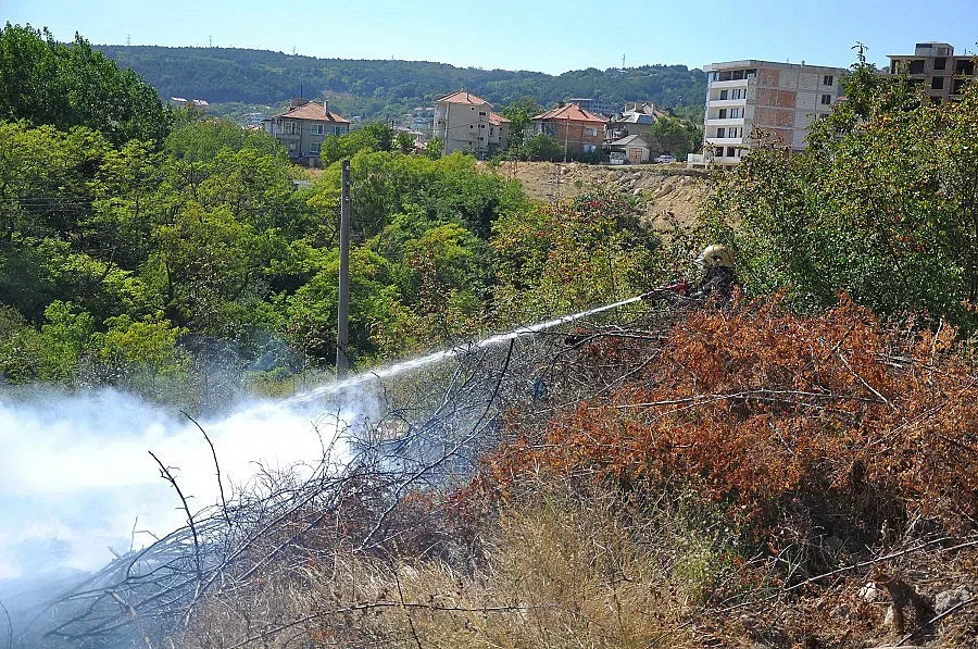 Пожар в конна база край Варна