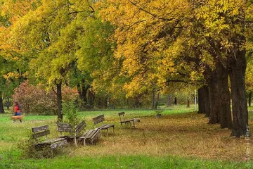 Утре ще е предимно слънчево, но ветровито