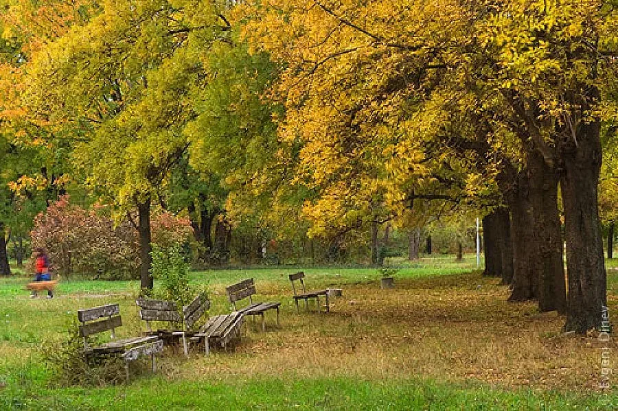 Утре ще е предимно слънчево, но ветровито