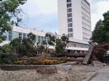 В Кюстендил е страшно! Кметът зове - който може, да помага