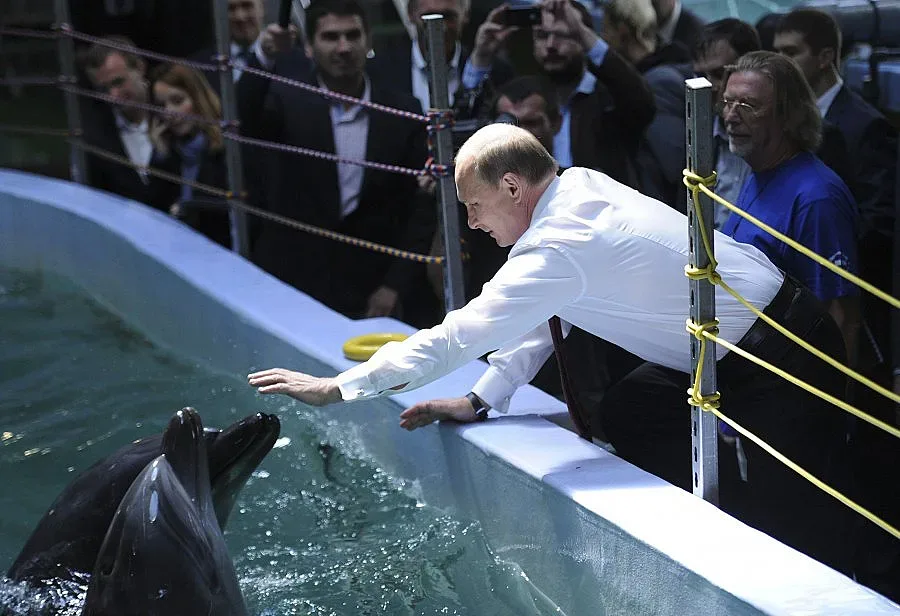 Путин храни делфини и моржове