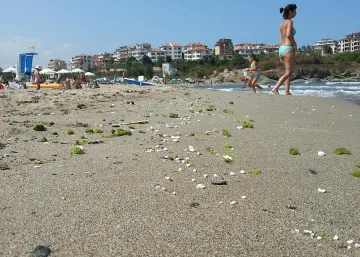 Откриха палмово масло в белите гранули край Приморско