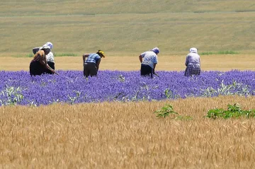 Двойни помощи за фермерите