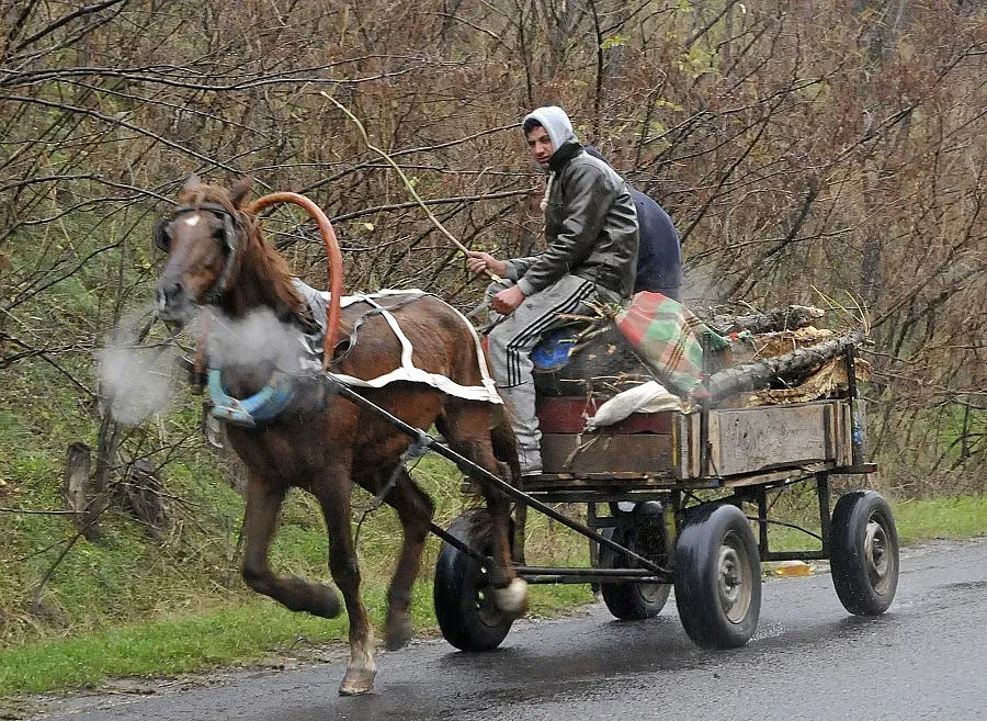 Община забрани каруците нощем заради кражби