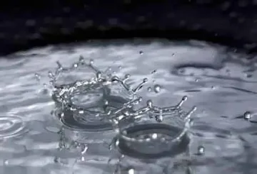 Дъждовна гора и делфинариум в Бургас