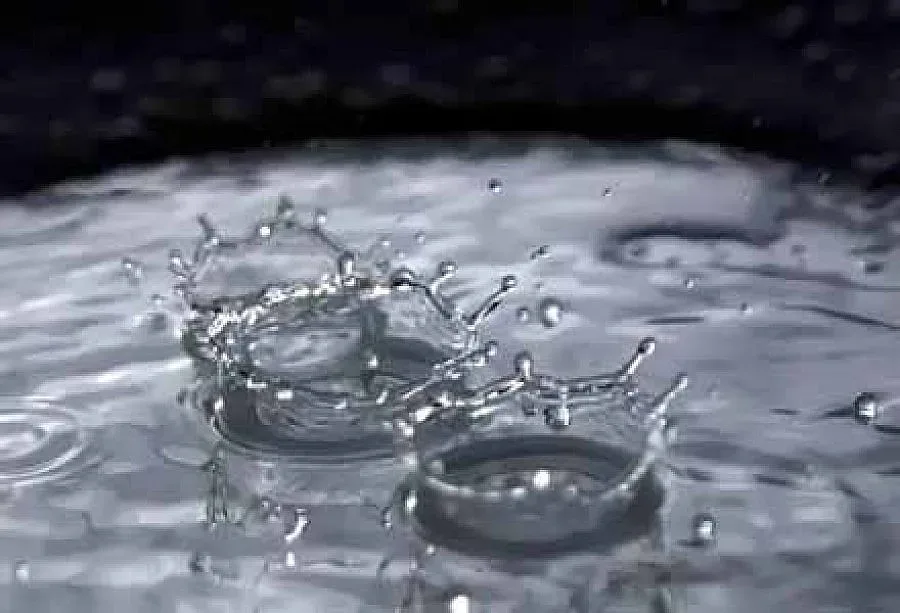 Дъждовна гора и делфинариум в Бургас