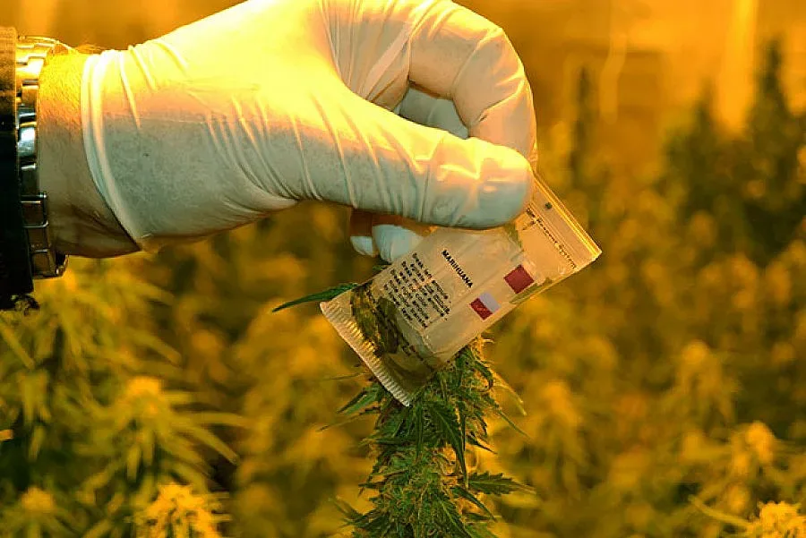 Удариха лаборатория за дрога в Сливен