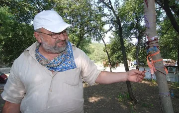 Стъпката на Дева Мария лекува