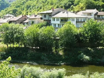 Умряла риба изплува в Янтра