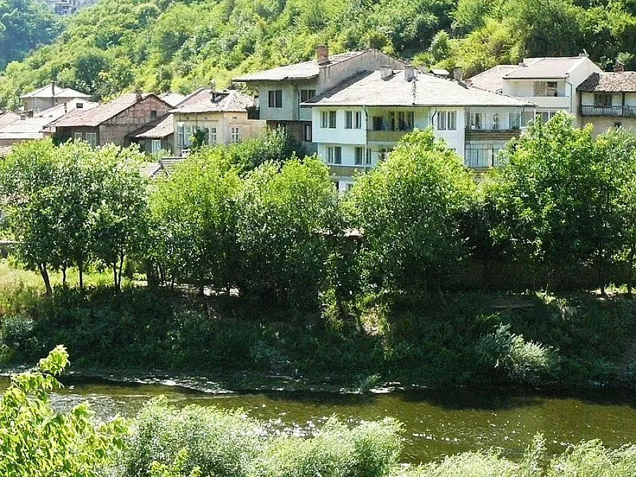 Умряла риба изплува в Янтра