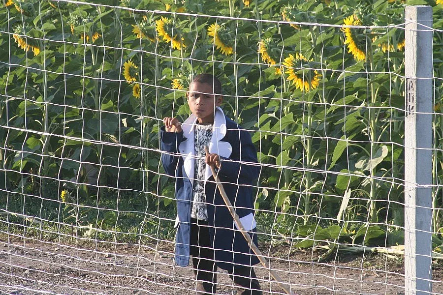 Пастир наби кмет в Загорци