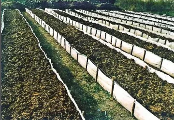 Качват биофермите в интернет