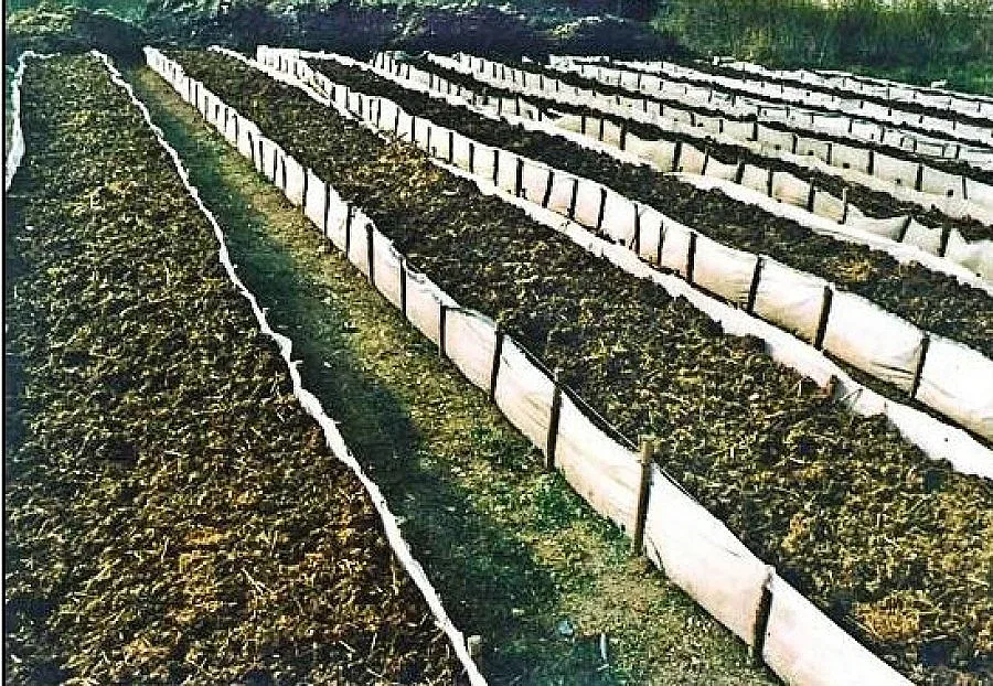 Качват биофермите в интернет