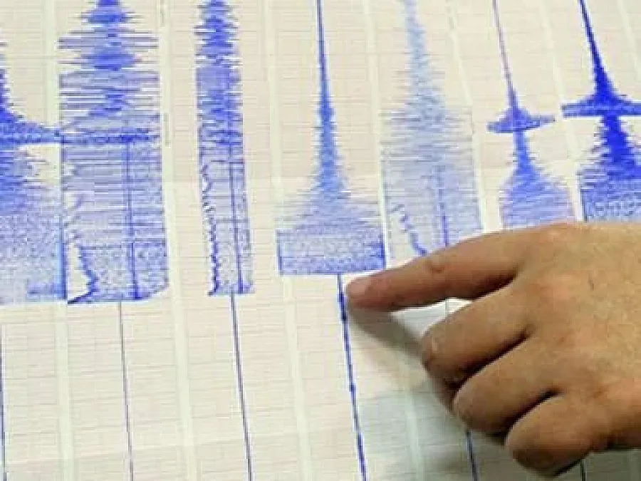 Нов трус в региона на Сатовча