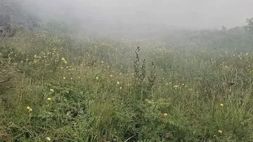 Пожарът в Рила бушува. Обхвана над 100 декара