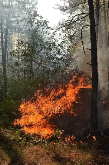 Продължава гасенето на пожара край Лесово