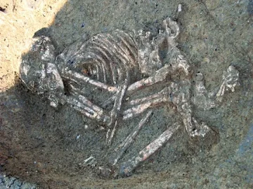 Неолитният човек до златото на гетите 