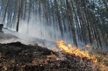 Военни гасят пожар при Малко Кирилово и Лесово