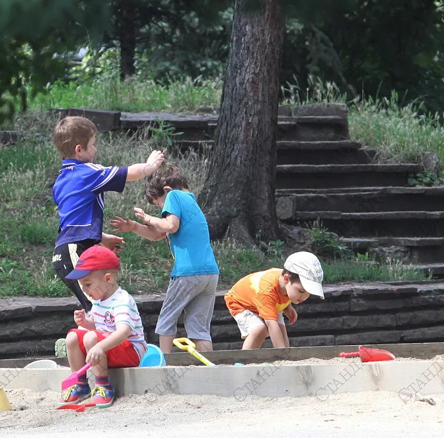 Работници секат парк по грешка