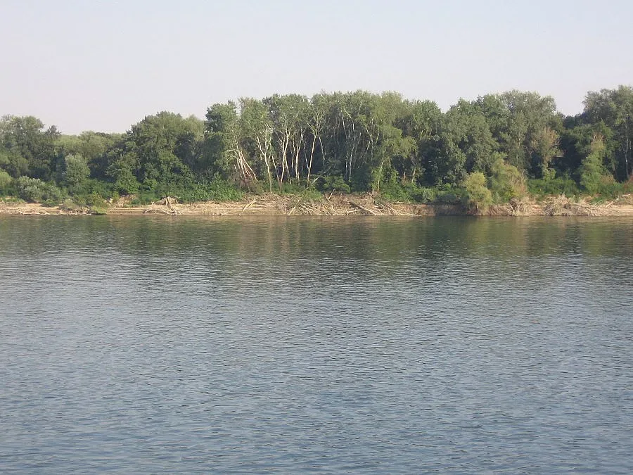 Дунав пада, кораби спират до плитчините