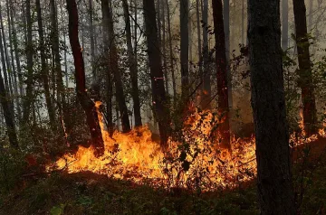 От "Пожарна безопасност"са гасили 138 пожара през деня